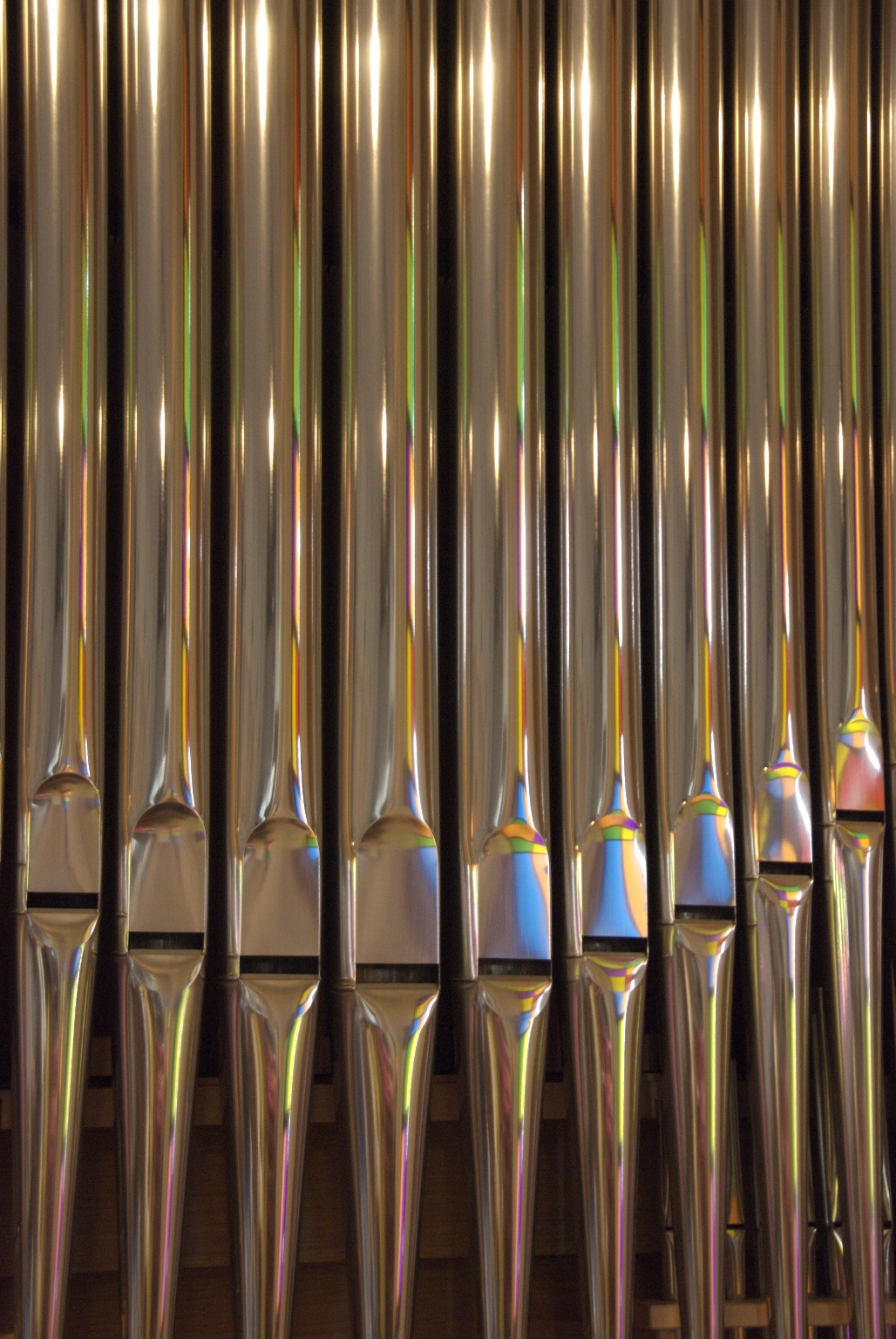 organ-140.jpg
